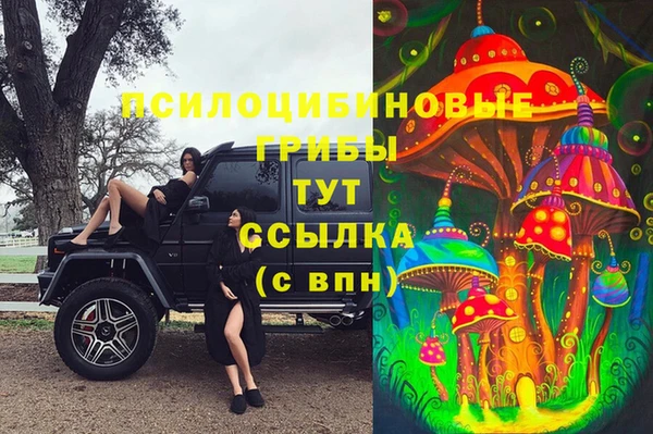 кристаллы Белокуриха